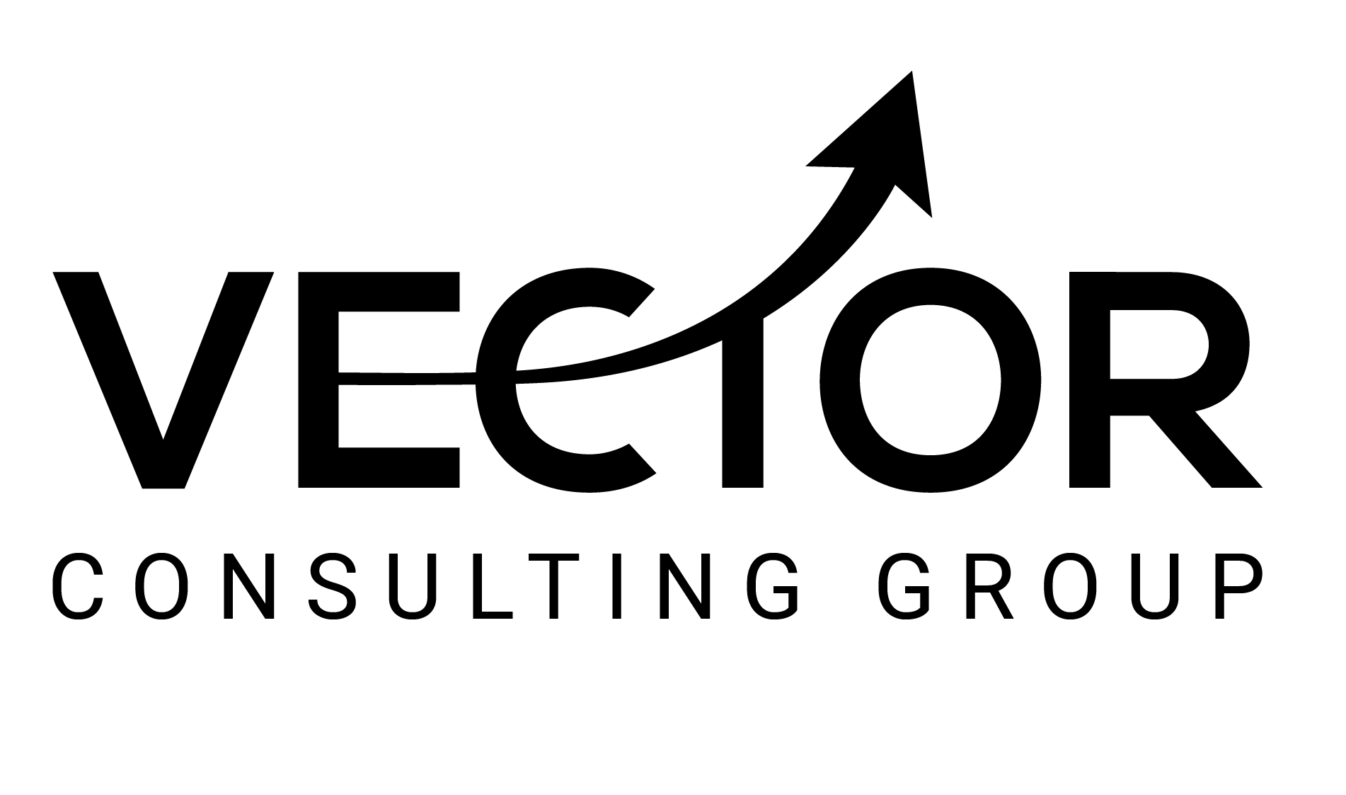Vector Consulting Group